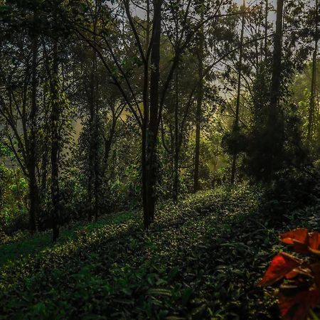 Southern Panorama Indriya Resorts & Spa Munnar Eksteriør bilde