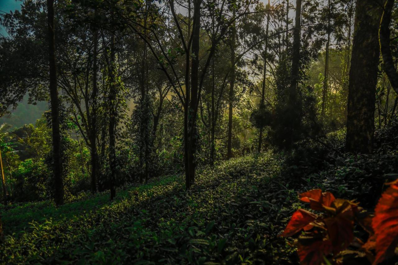 Southern Panorama Indriya Resorts & Spa Munnar Eksteriør bilde